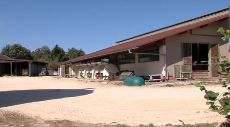 Landwirtschaftlicher Betrieb Gerd & Tobias Walter GbR (Quelle: RTF.1)
